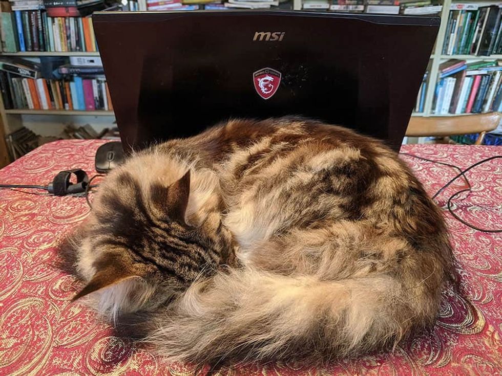 working from home during self isolation