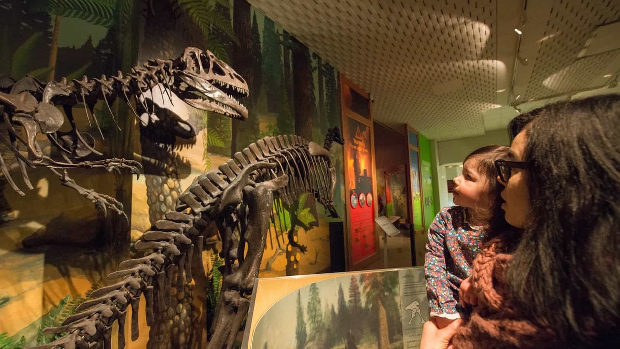 World Museum Dinosaurs