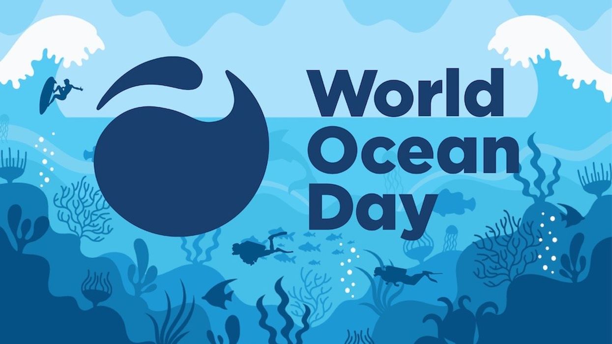 World Ocean Day 2022
