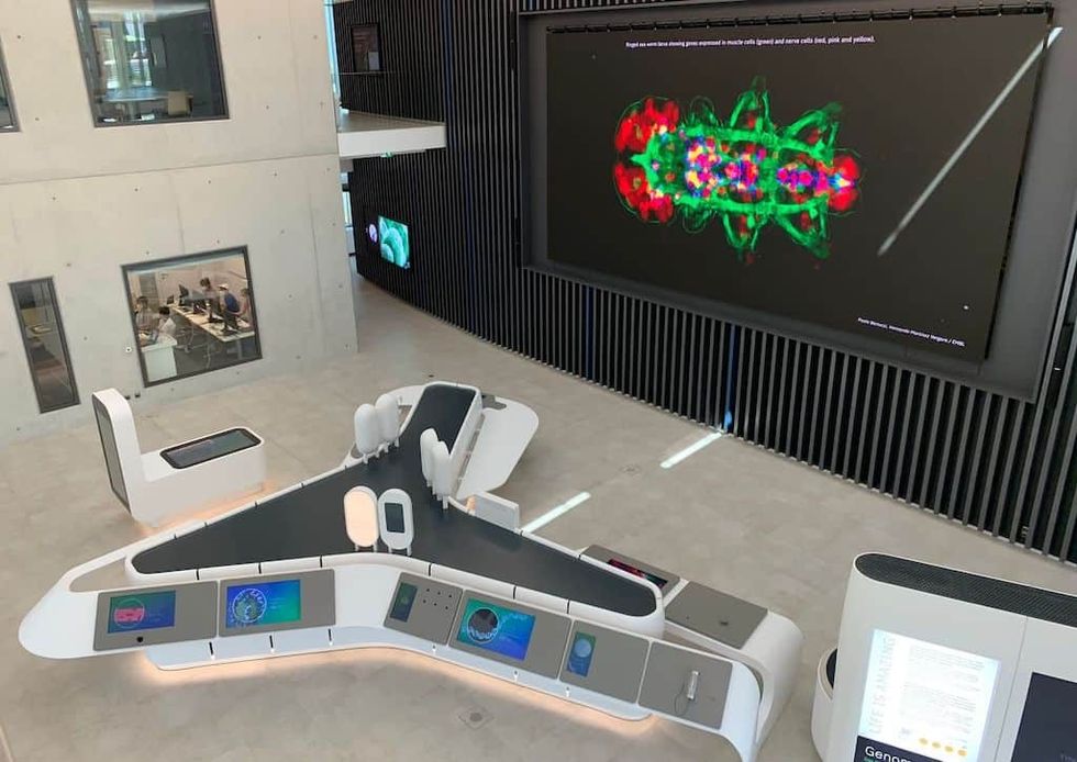 World of Molecular Biology exhibition The Hub