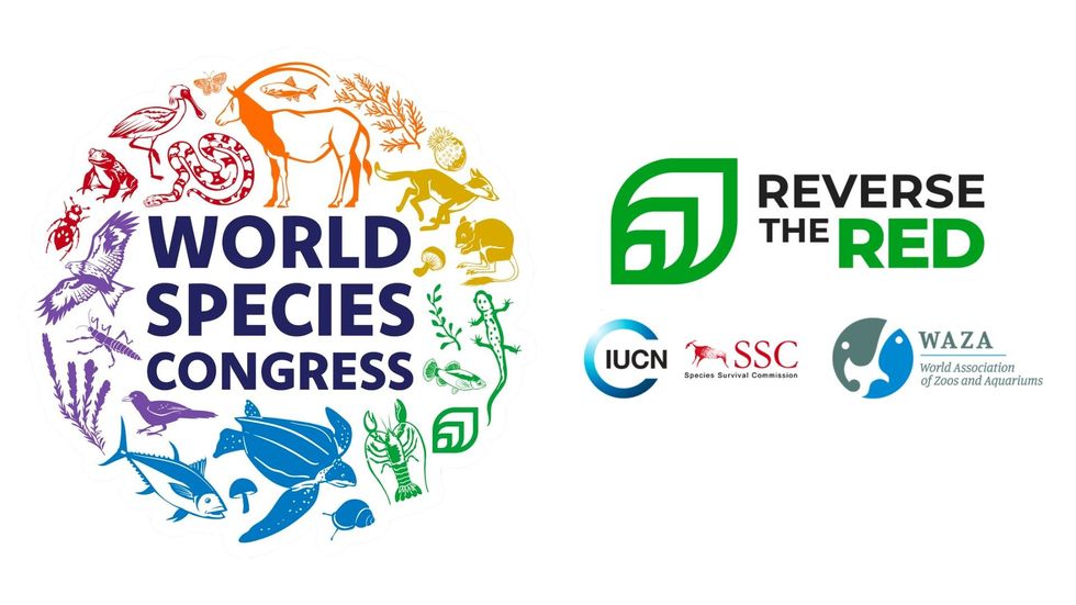 World Species Congress 2024 promotional image. Organised by reverse the red