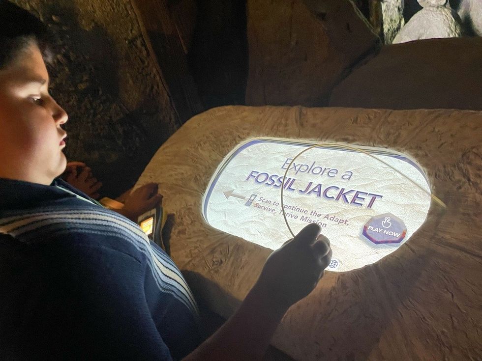 WoW Moment fossil jacket Dino Quest