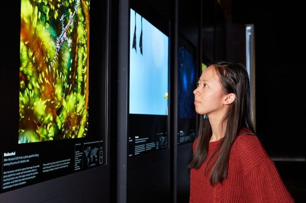 WPY57 Natural History Museum