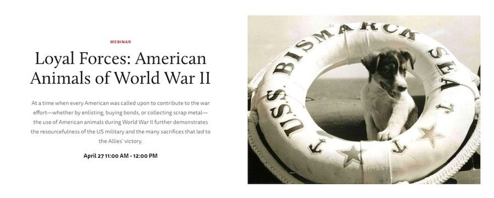 WWII museum webinar series animals in WWII