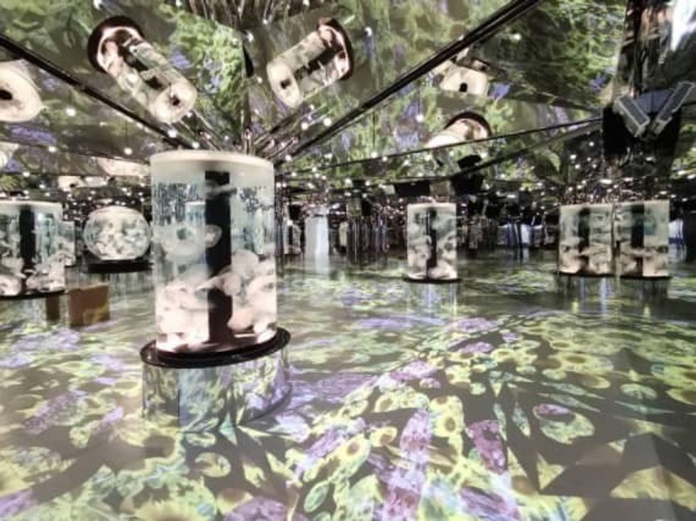 Xpark Aquarium Taiwan