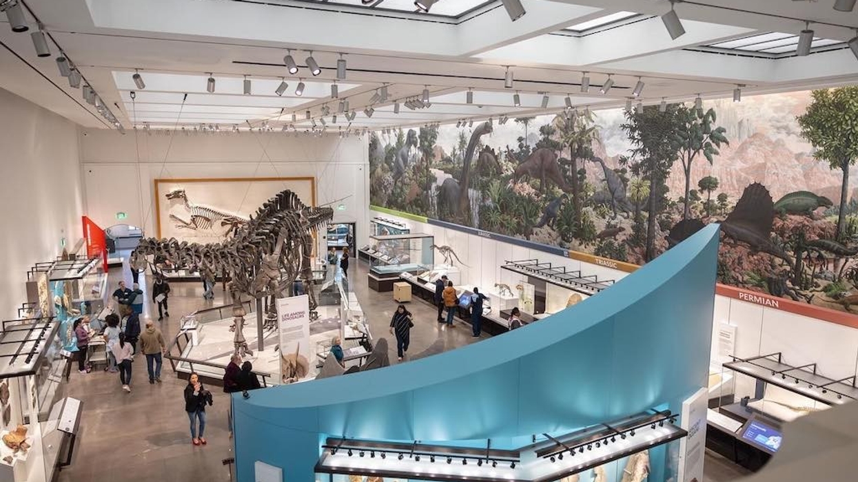 Yale Peabody Museum