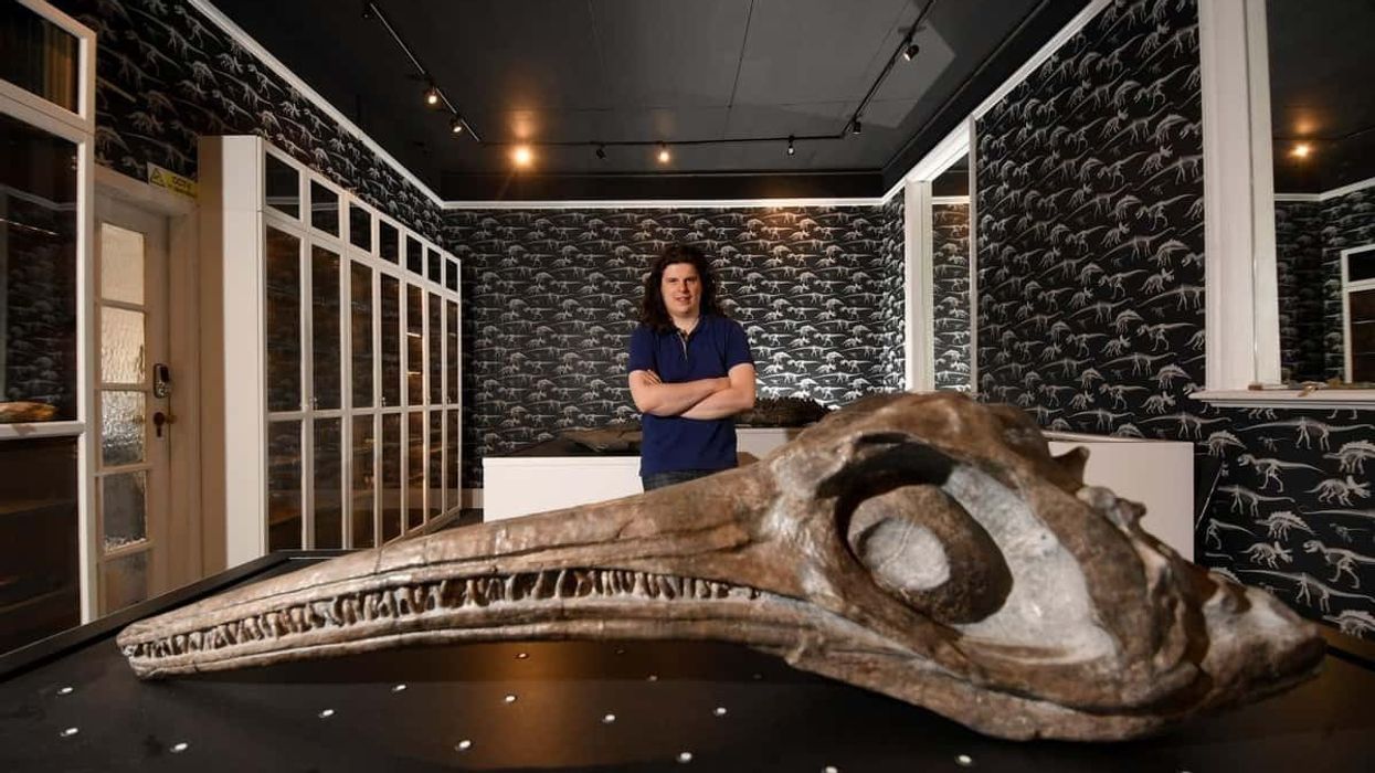 yorkshire natural history museum