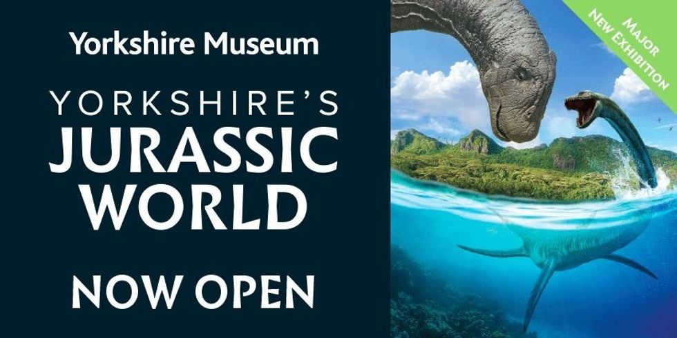 yorkshire's jurassic world yorkshire museum