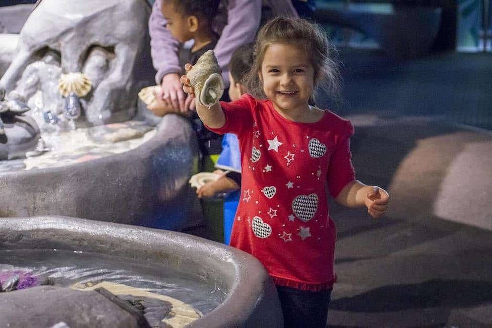 young girl in Polar Play Zone_Shedd Aquarium