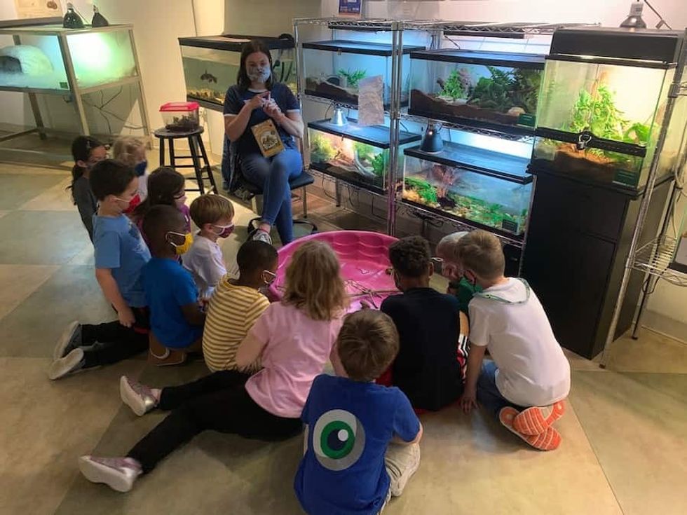 Young people at MOSH