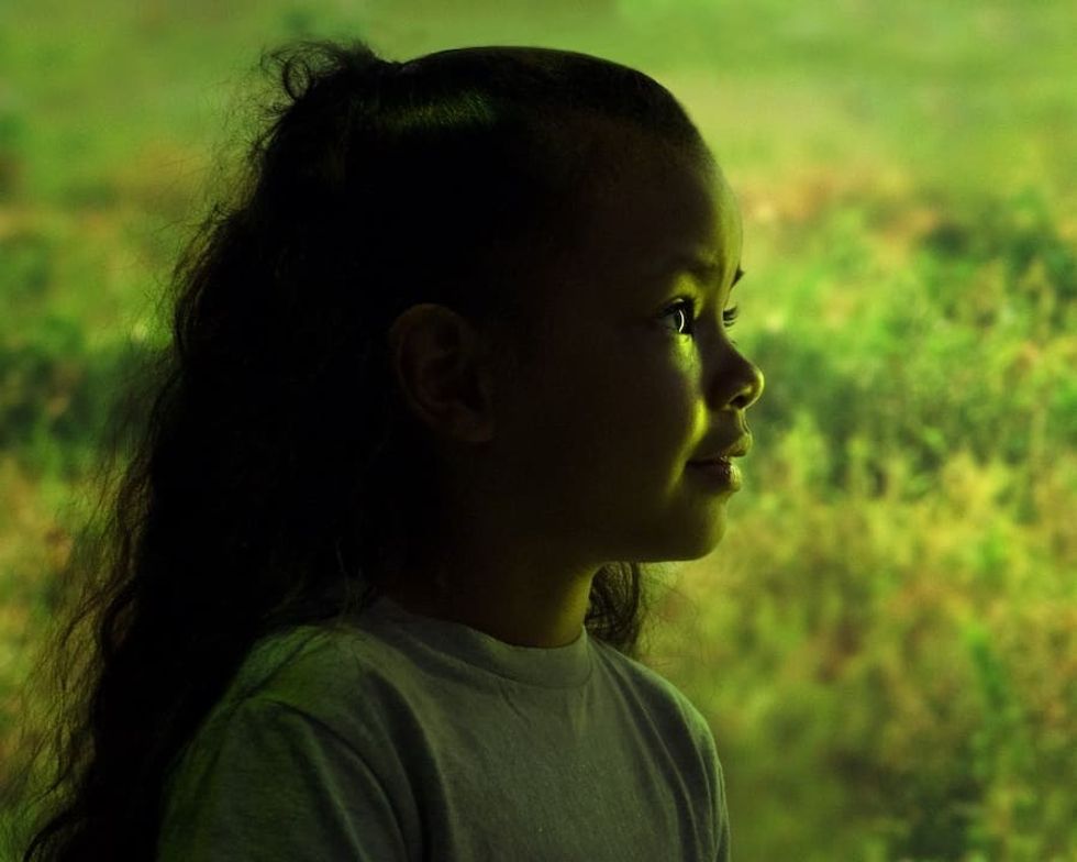 young visitor enjoys WILD at Illuminarium