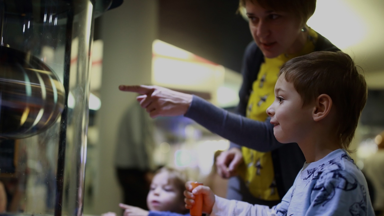 young-visitor-hands-on-museum-exhibit