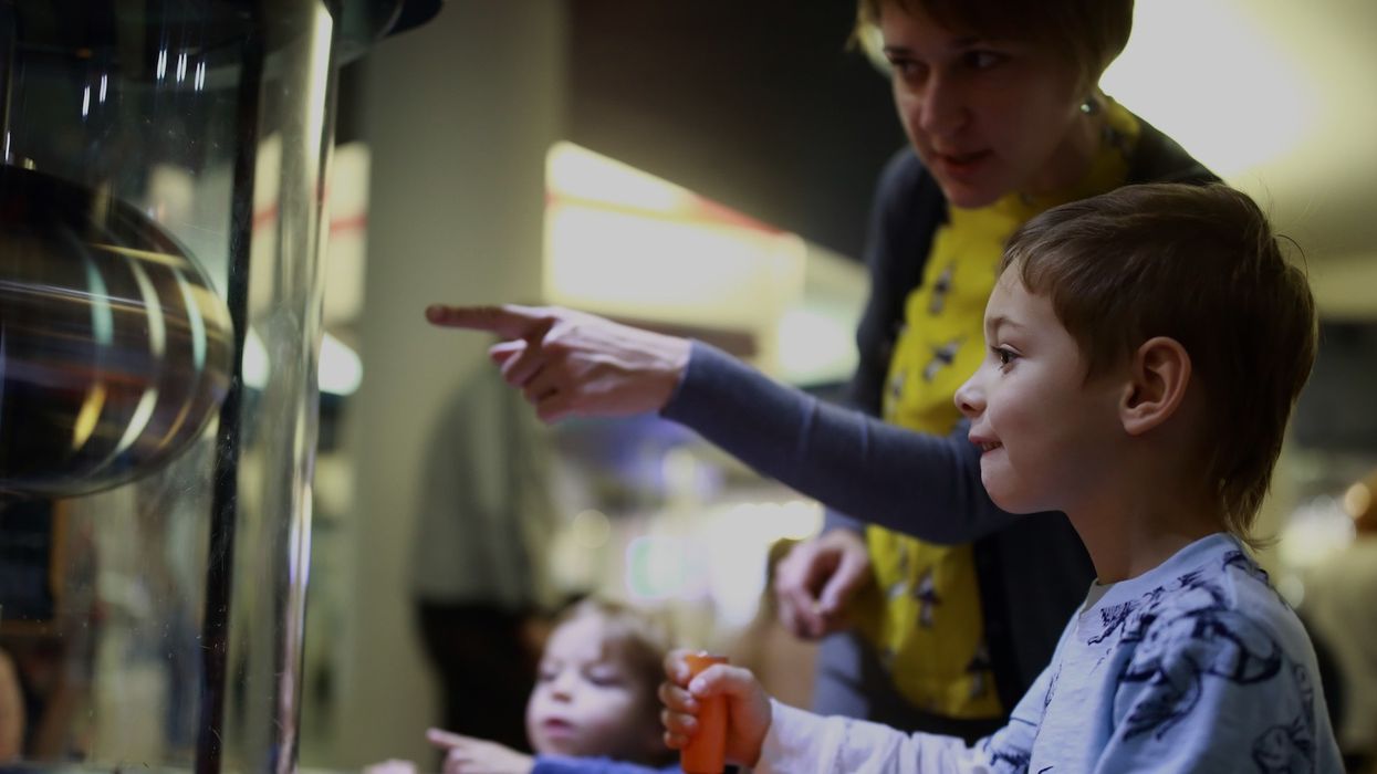 young-visitor-hands-on-museum-exhibit