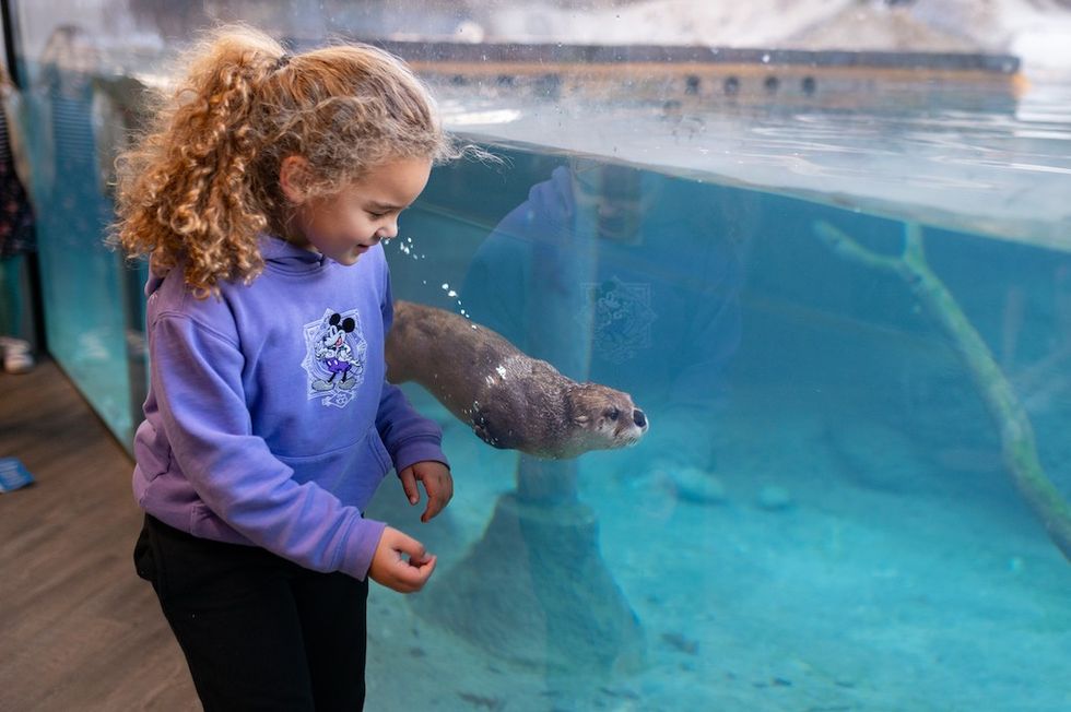 young visitor with otter at Virginia Aquarium