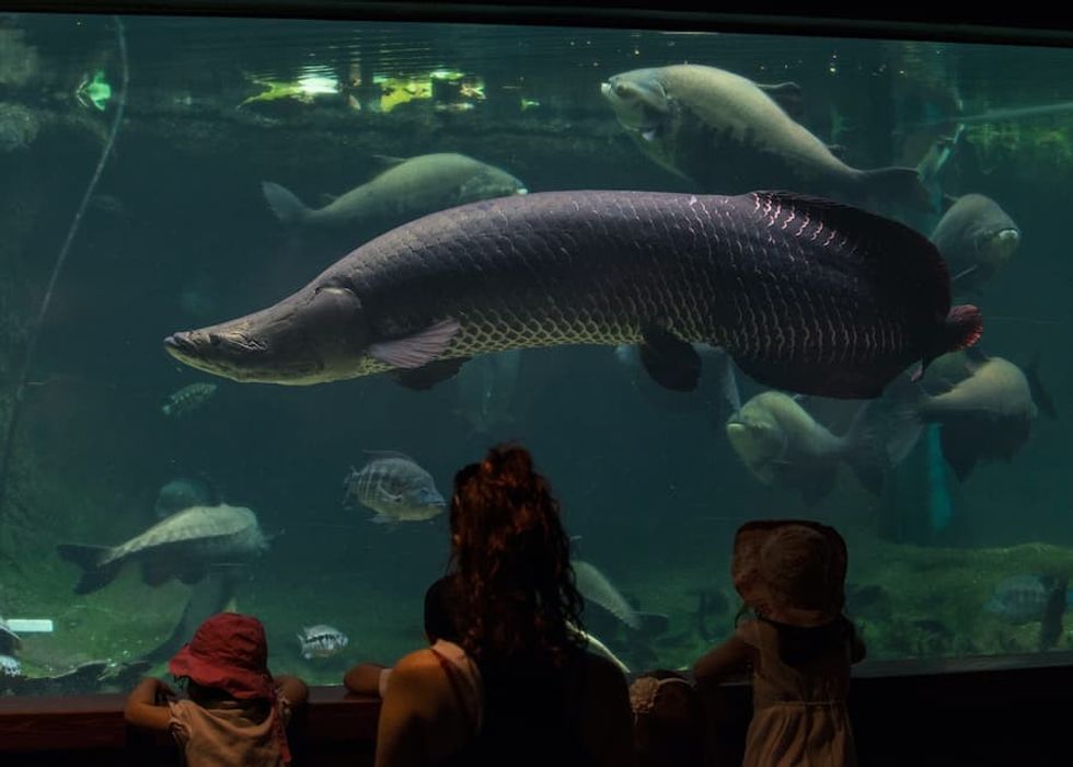 young-visitors-at- Smithsonian's National Zoo