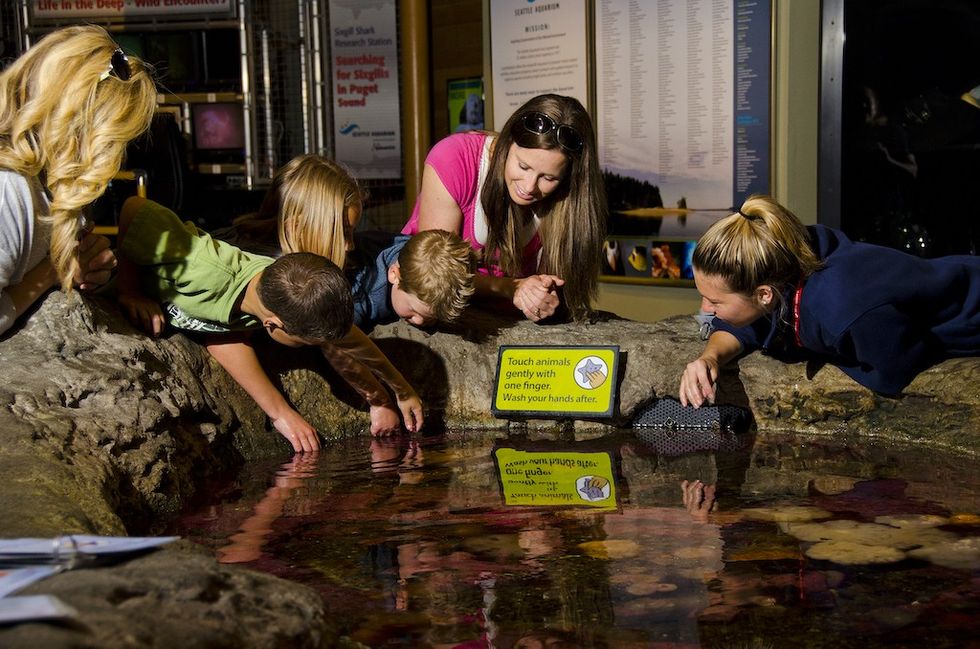 Young visitors touch pool Seattle Aquarium