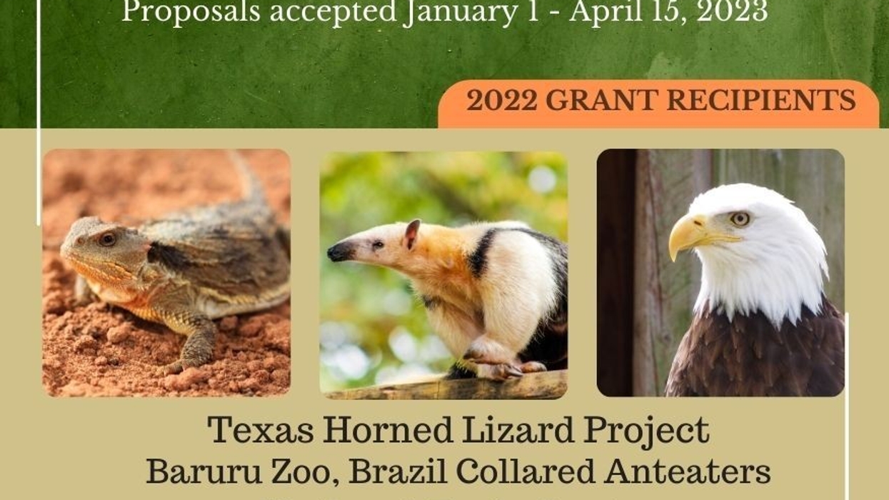 ZAA-2023-Conservation-Grant