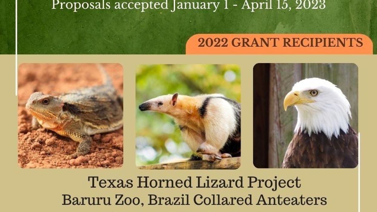 ZAA-2023-Conservation-Grant