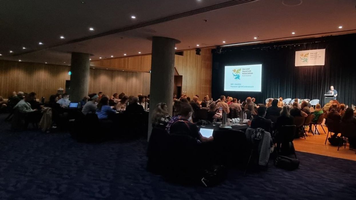 ZAA celebrates success of 2024 conference