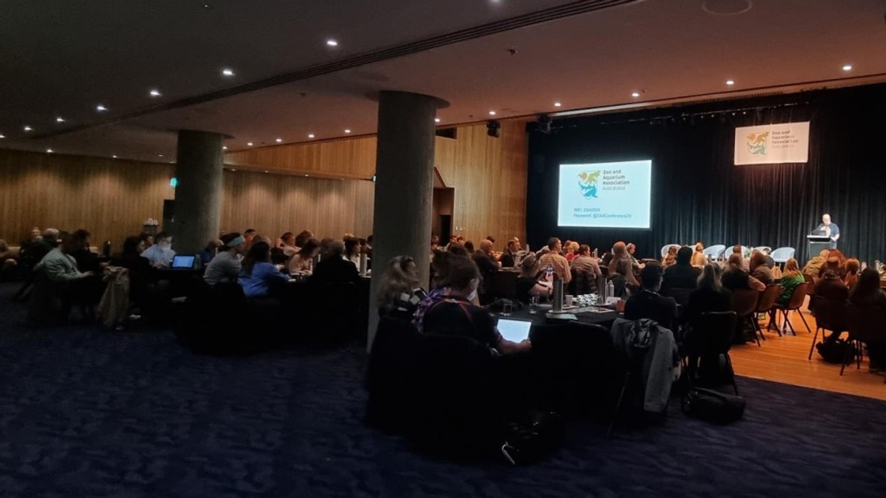 ZAA celebrates success of 2024 conference