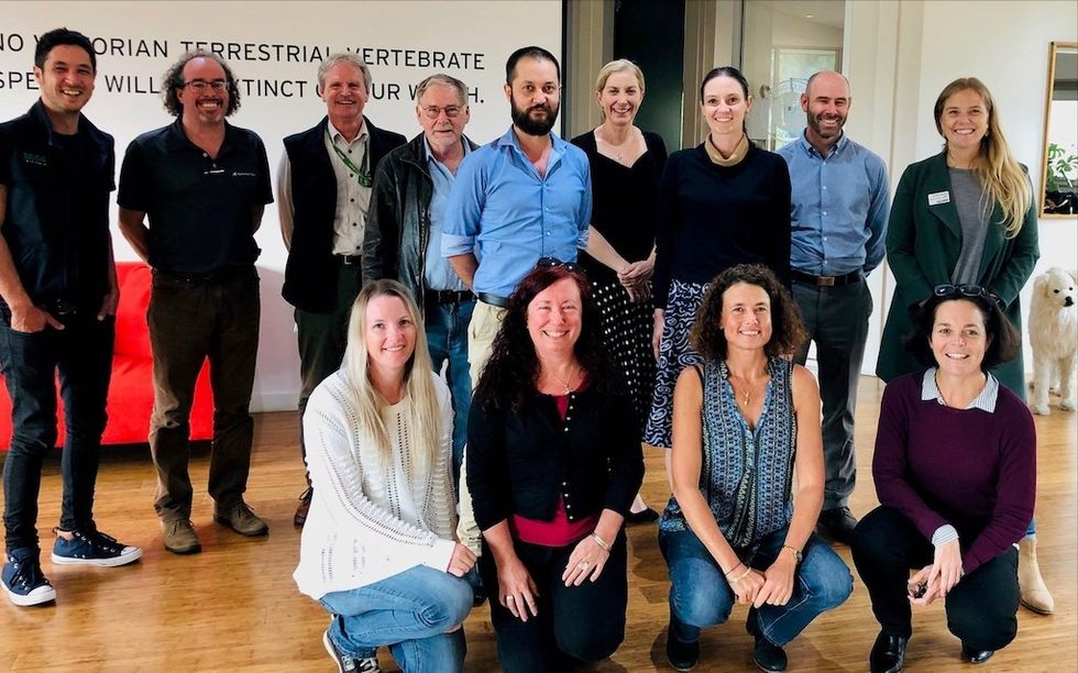 ZAA Threatened species recovery planning workshop after Black Summer bushfires