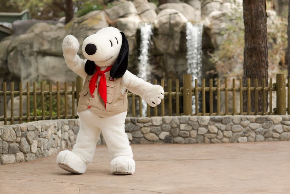 Zamperla Camp Snoopy