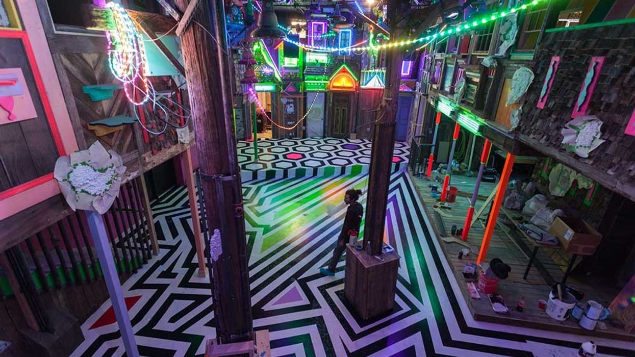 Zig Zag Meow Wolf