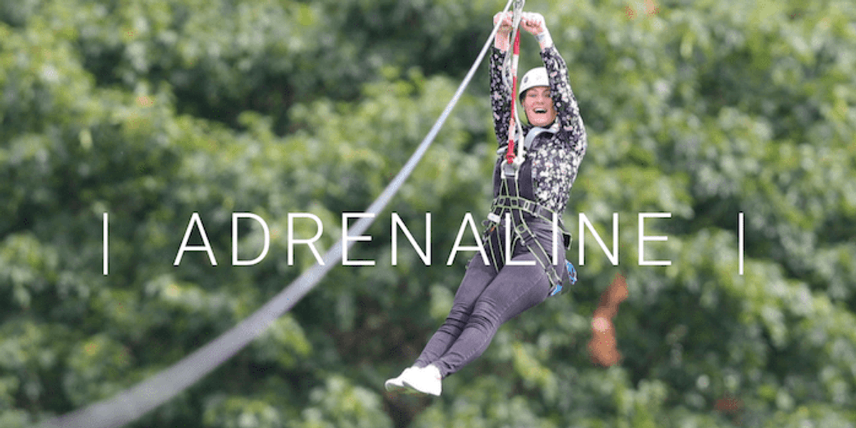 Zip Line Cardiff Plans for huge zip wire attraction across Cardiff Bay | blooloop
