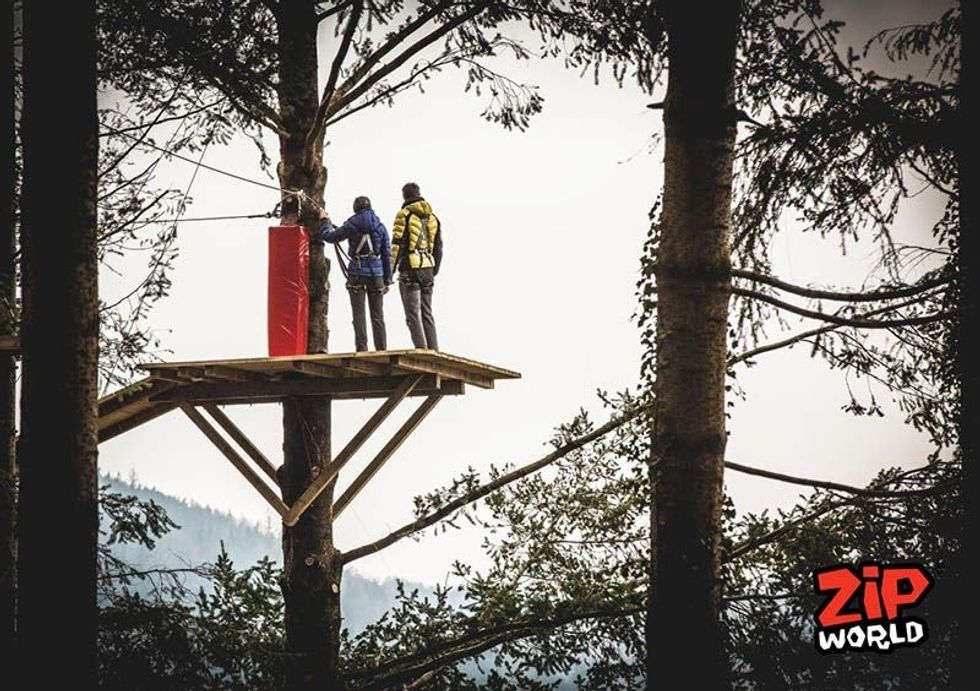 Zip World Zip Safari