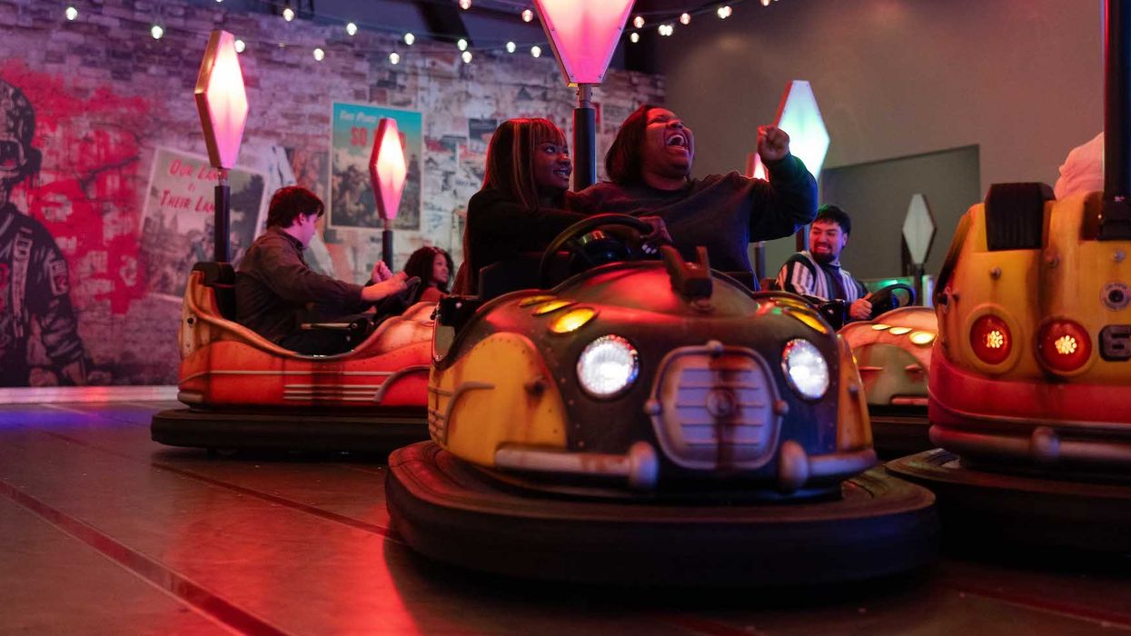 Zombieland Bumper Cars Wonderverse