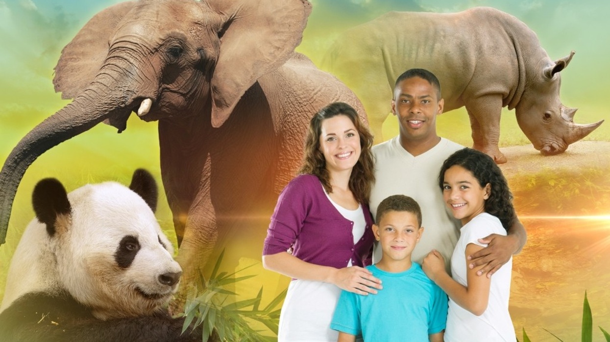 Zoo Atlanta Bnaner Magic Memories