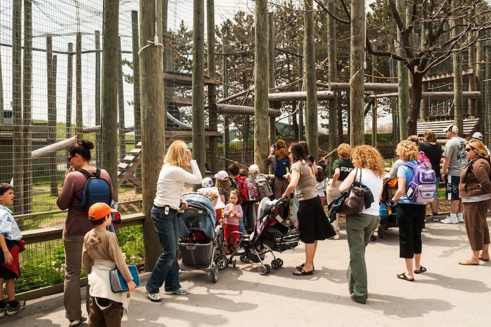 zoo_attractions.io guest experience