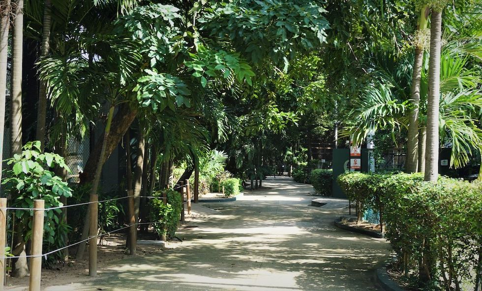 Zoo Barranquilla paths