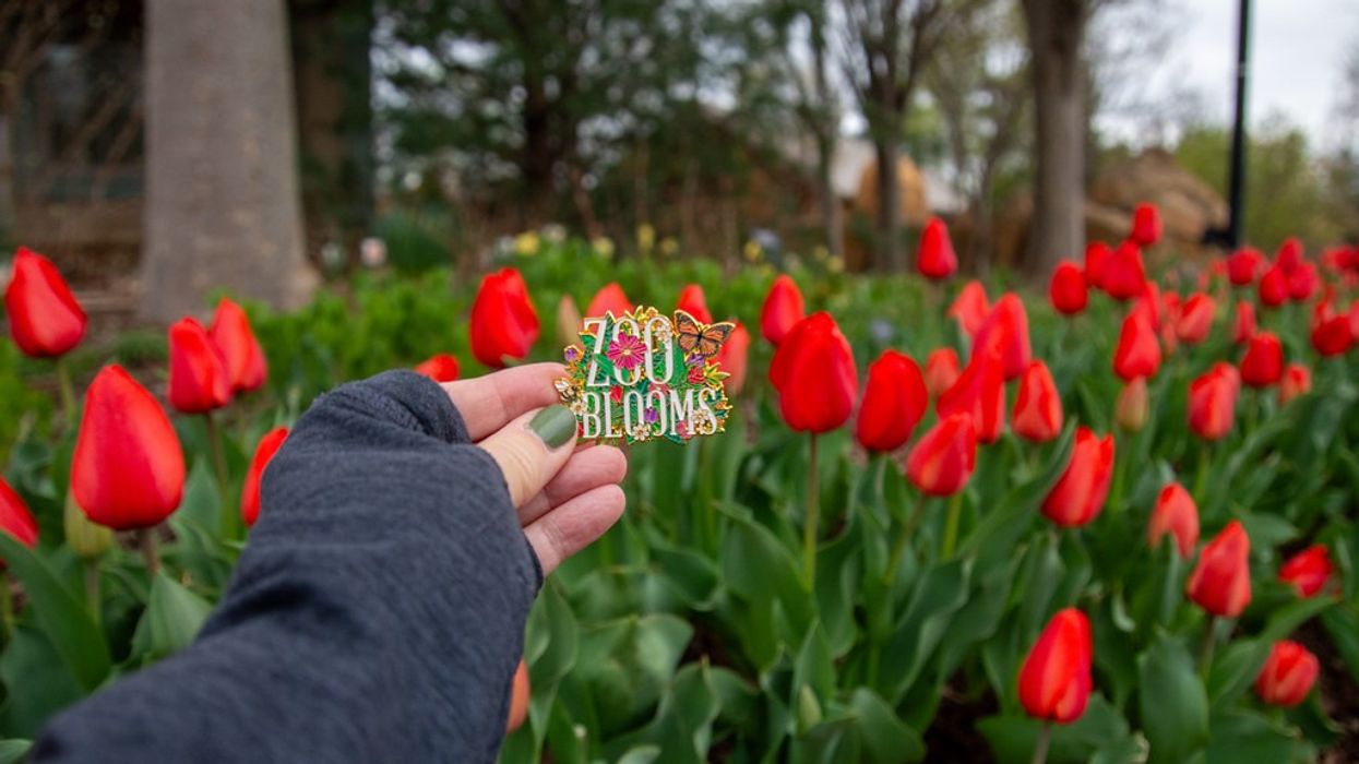 Zoo blooms pin Cincinnati Zoo