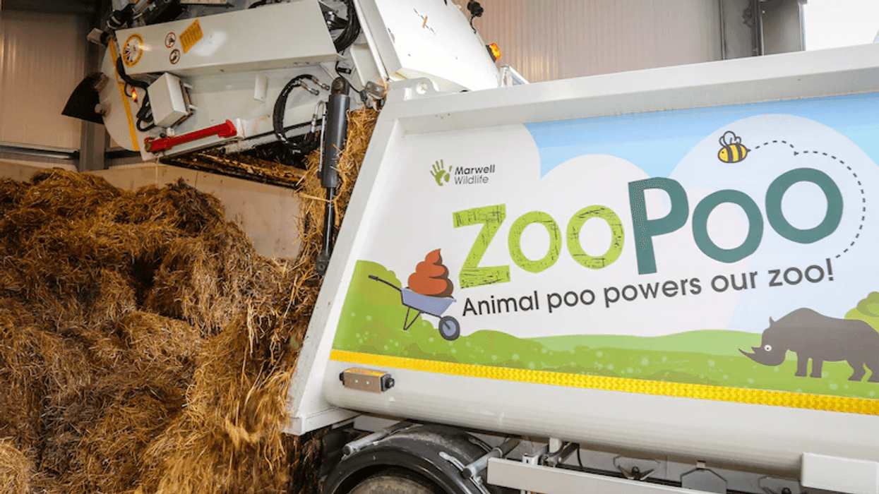 Zoo Poo marwell wildlife