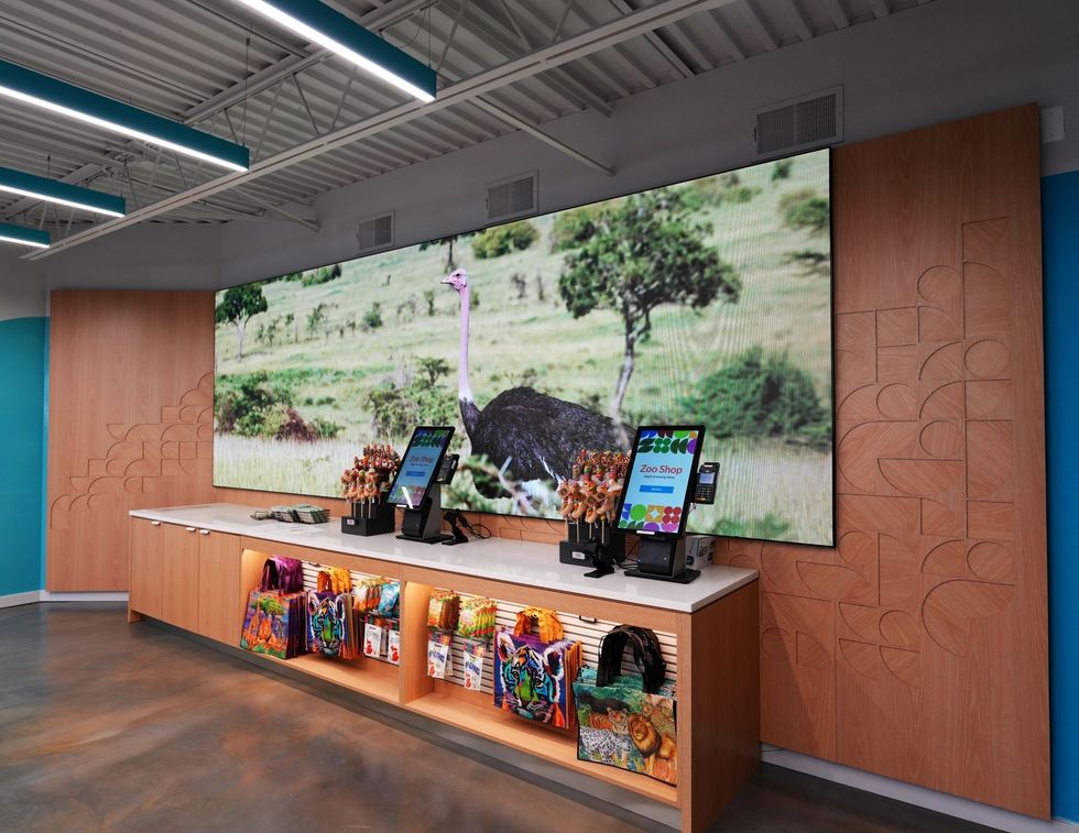 Zoo shop interior with ostrich photo, kiosks, and colorful merchandise on display.