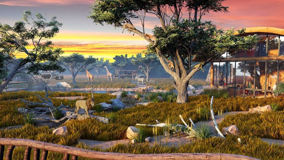 Zoo Tampa plans Africa Realm