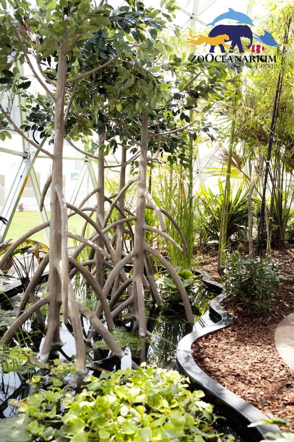 zoOceanarium school biome