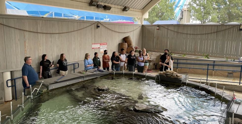 zoOceanarium Training at Childrens Aquarium Dallas