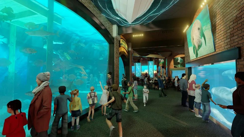 zootampa expansion manatee center