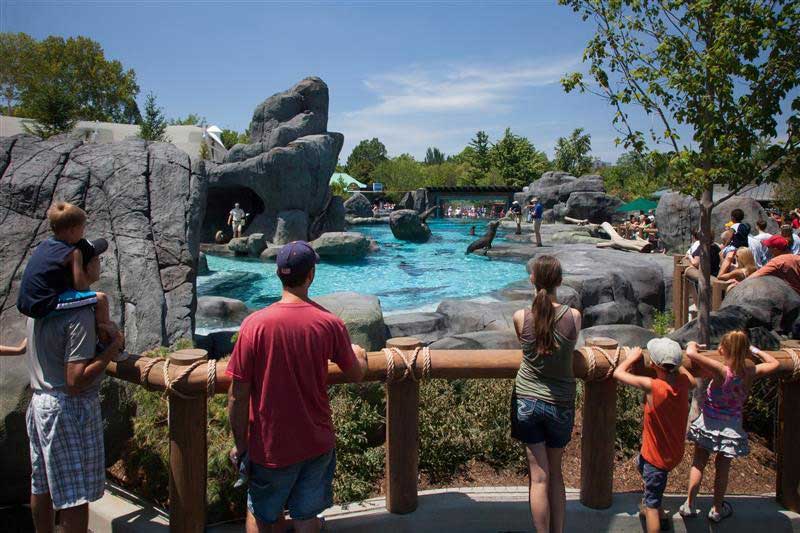 Dr Jeffrey Bonner Sea Lion Sound Exhibit Saint Louis Zoo