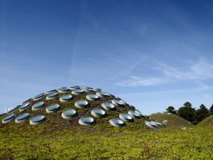 california academy of sciences living roof by tim griffith