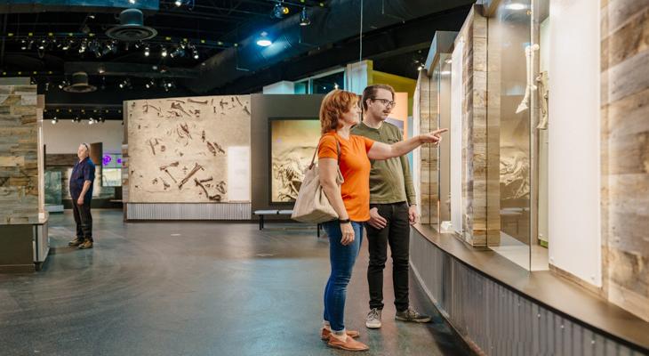 Two people looking at a museum exhibit