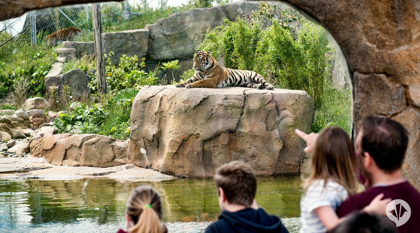 islands chester zoo blooloop islands chester zoo blooloop