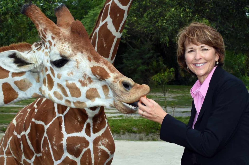 carol kruse zoo miami giraffes Blooloop