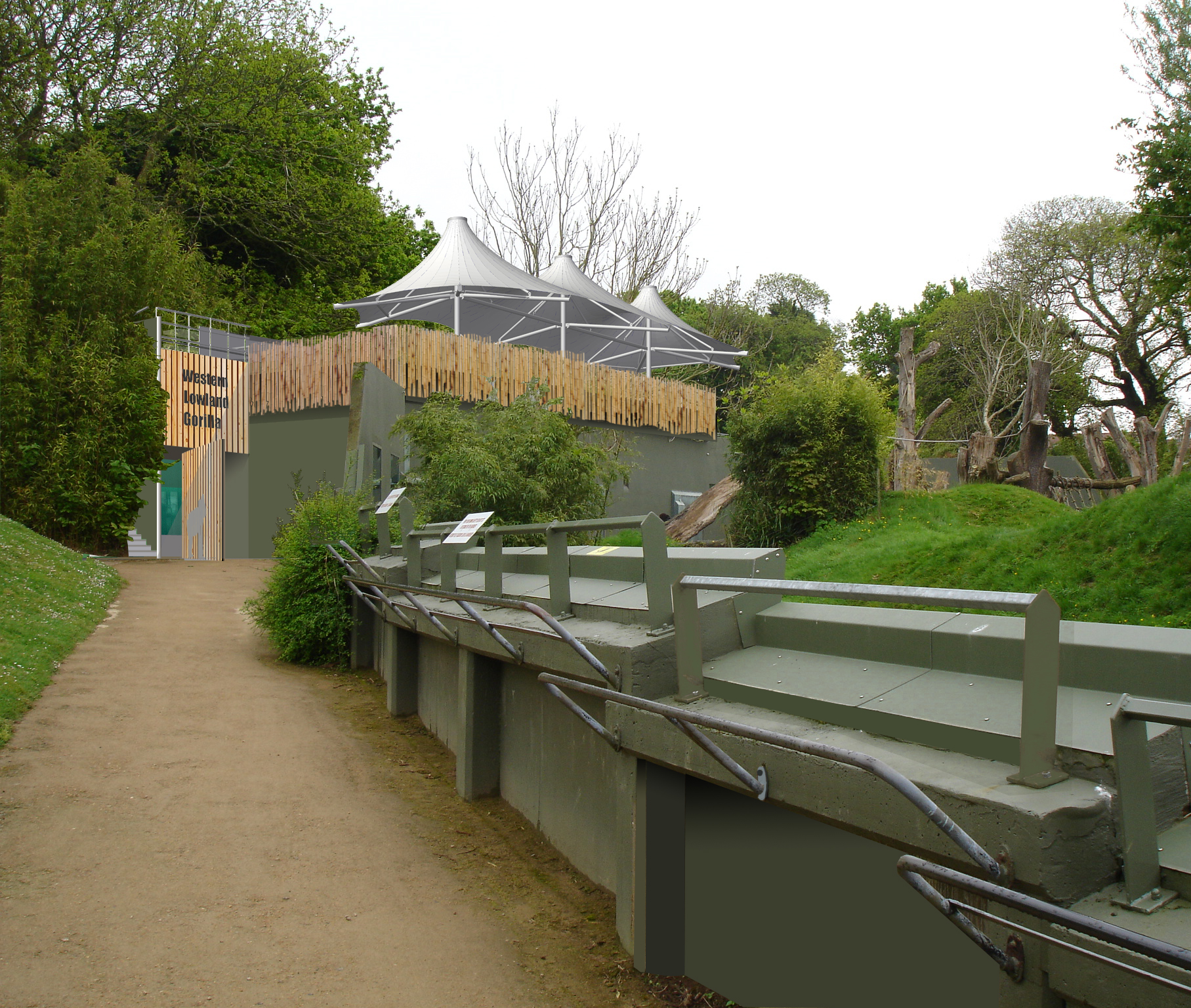 Durrell Wildlife Gorilla Enclosure Ray Hole