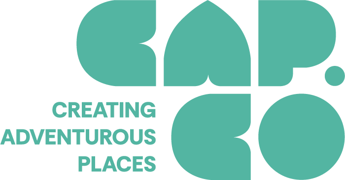 AW_CAP.CO_SECONDARY_LOGO+SL_TEAL