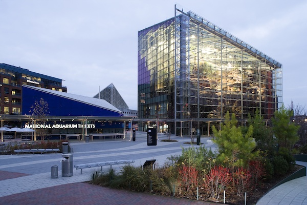 National Aquarium Baltimore