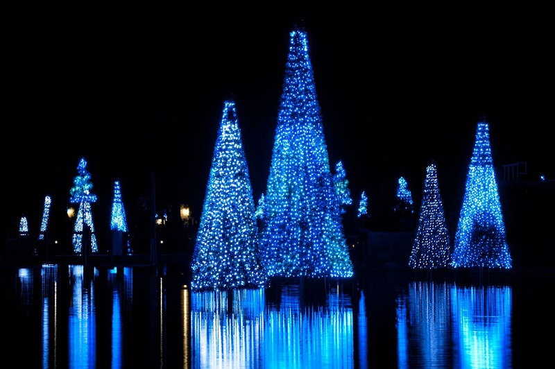 Sea of Trees Seaworld Christmas