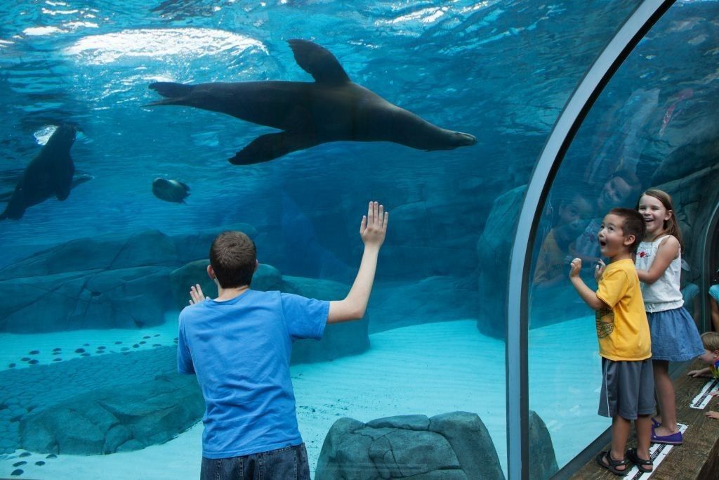 Award for Saint Louis Zoo Exhibit Designed by PGAV Destinations Blooloop